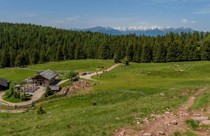 Wandern & Mountainbiken 