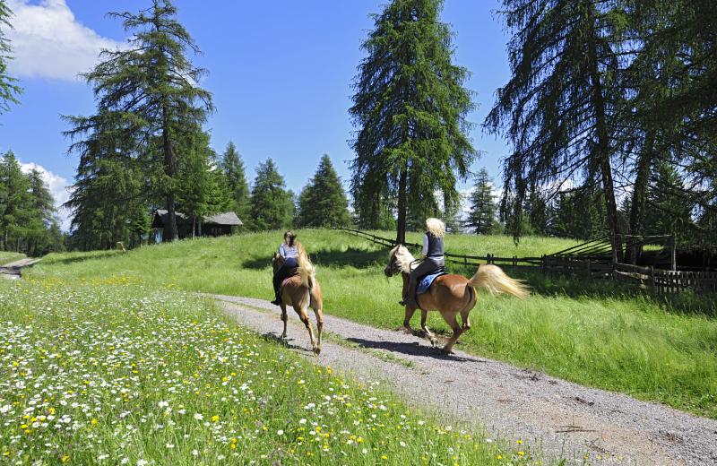 Reiten