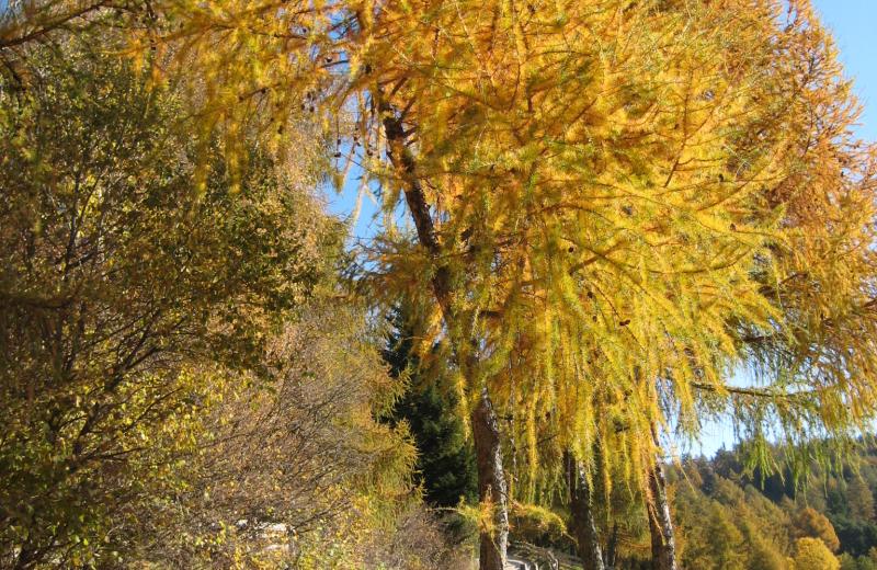 Wandern & Mountainbiken 