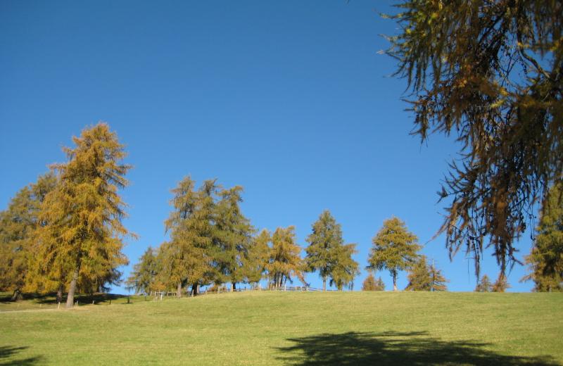 Wandern & Mountainbiken 
