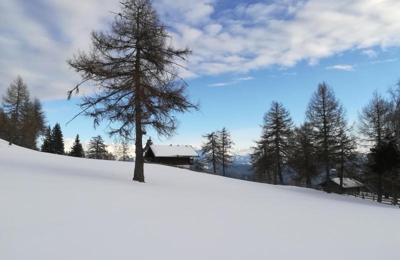 Von Frühlingsduft bis Winterzauber