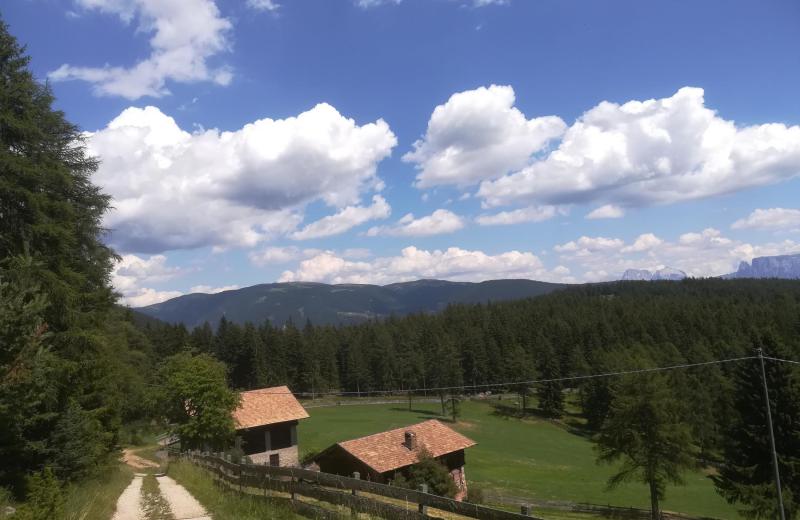 Wandern & Mountainbiken 