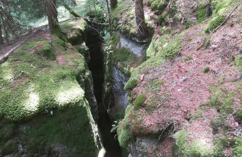 Wandern & Mountainbiken 
