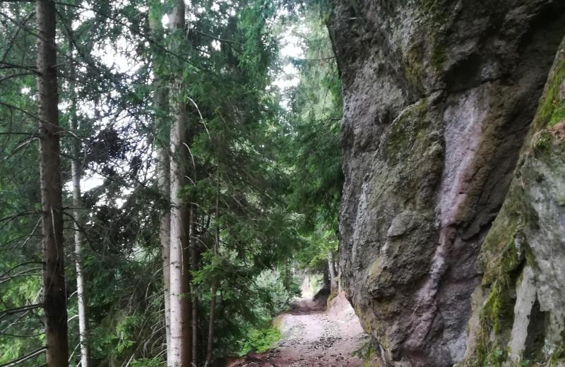 Wandern & Mountainbiken 