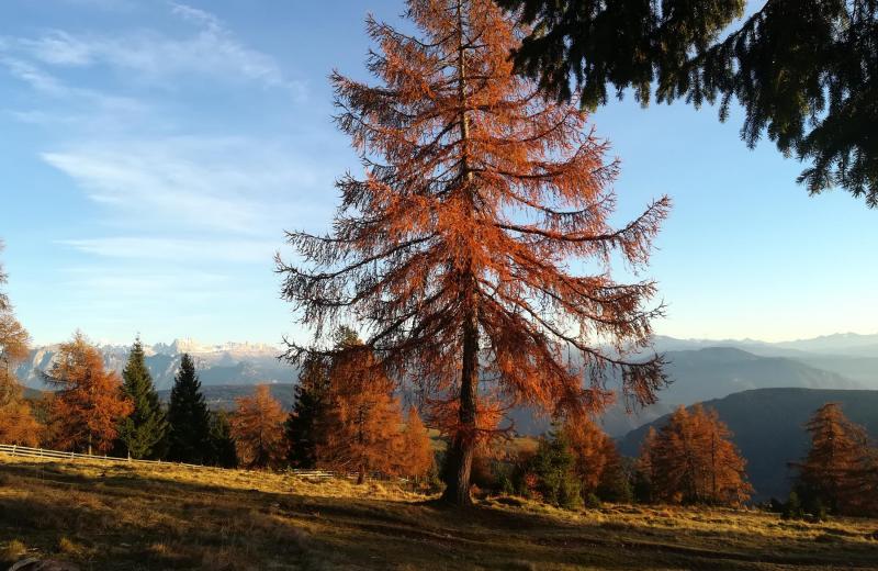 Von Frühlingsduft bis Winterzauber