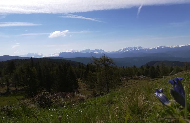 Von Frühlingsduft bis Winterzauber