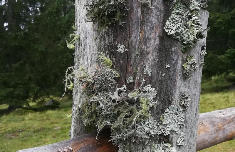 Wandern & Mountainbiken 