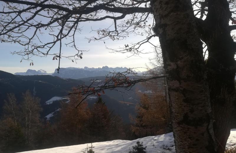 Wandern & Mountainbiken 