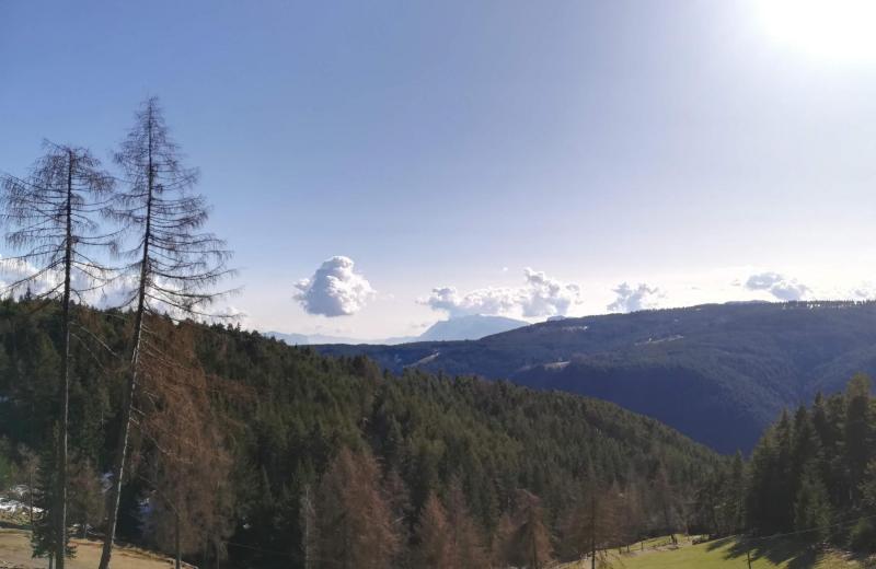 Von Frühlingsduft bis Winterzauber