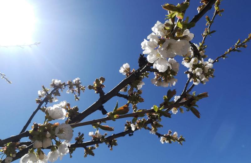 Von Frühlingsduft bis Winterzauber