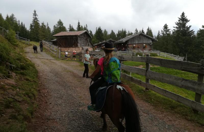 Reiten