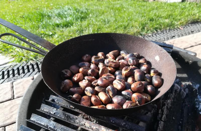 Von Frühlingsduft bis Winterzauber