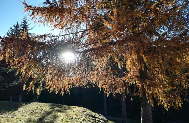Von Frühlingsduft bis Winterzauber