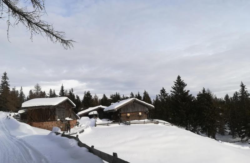 Von Frühlingsduft bis Winterzauber