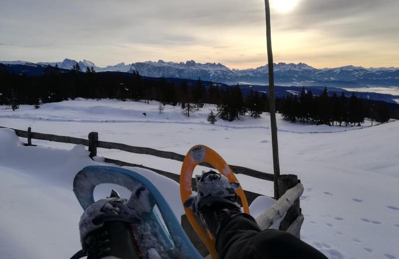 Von Frühlingsduft bis Winterzauber