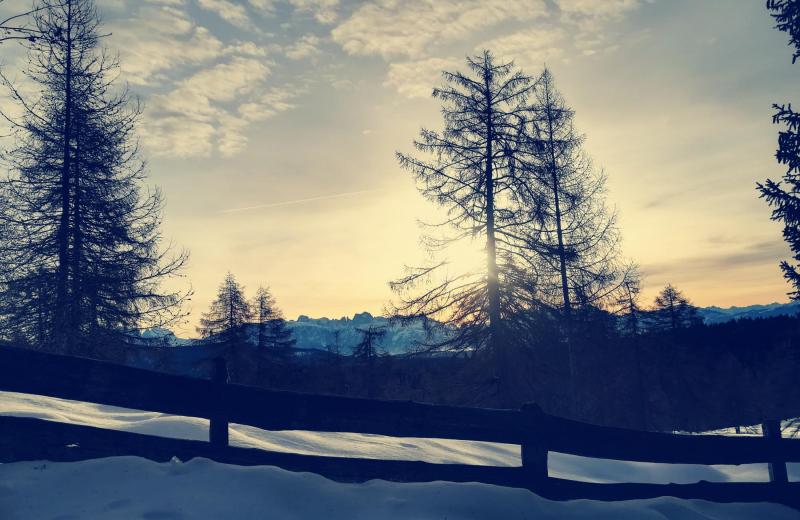 Von Frühlingsduft bis Winterzauber