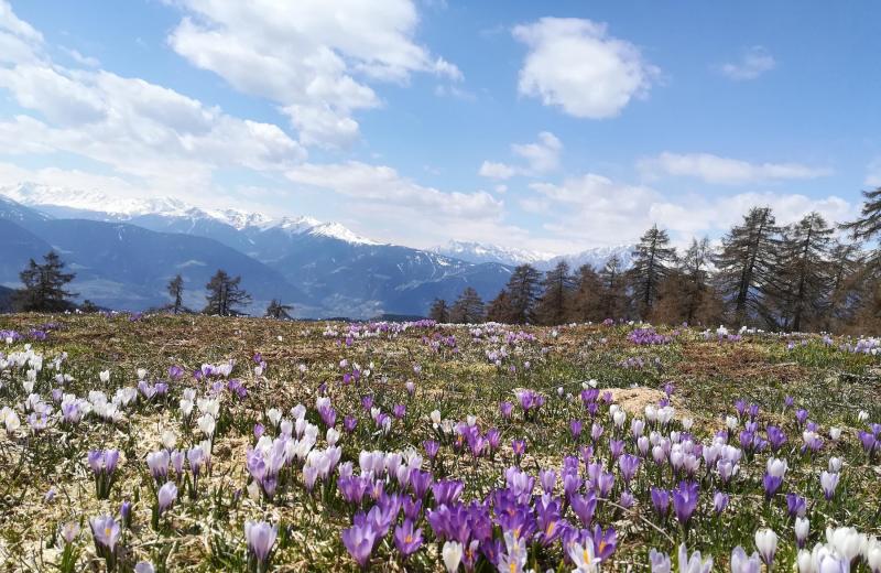Von Frühlingsduft bis Winterzauber