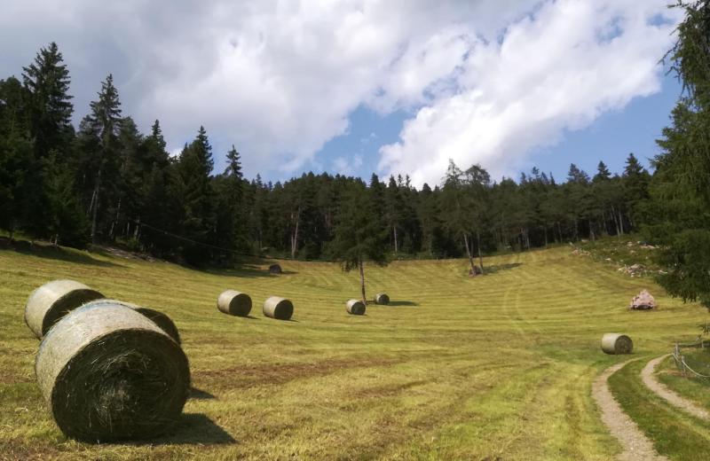Von Frühlingsduft bis Winterzauber