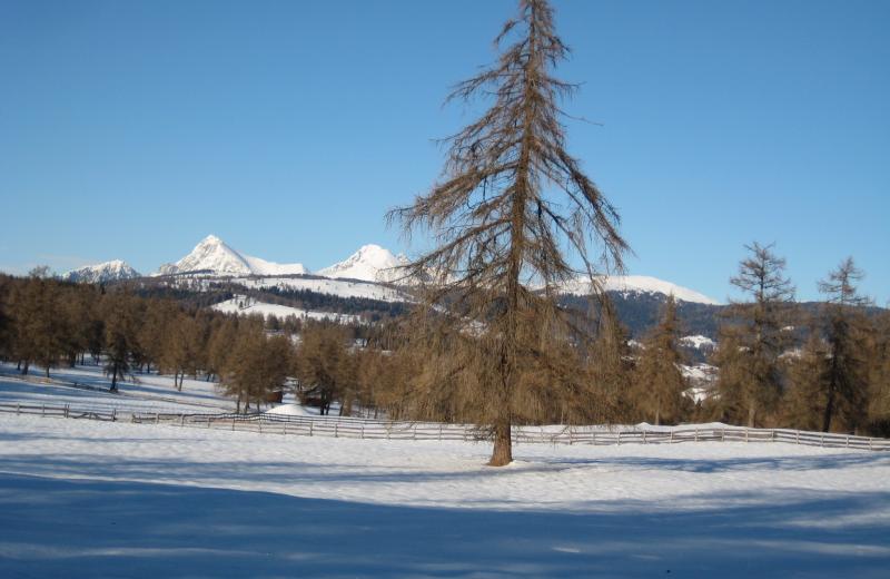 Wandern & Mountainbiken 