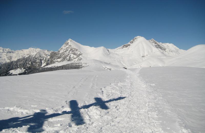 Von Frühlingsduft bis Winterzauber